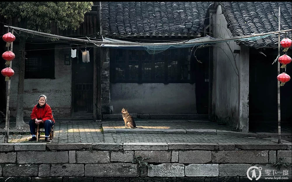 苦涩的美